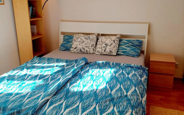 Cozy studio in Vinohrady