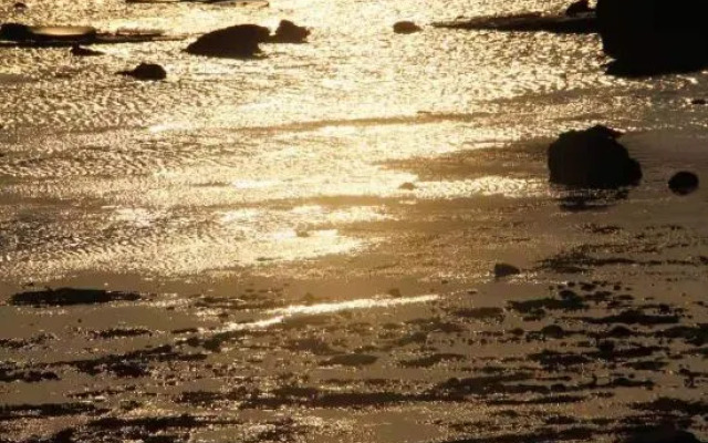 Blue Sky International Youth Hostel (Sanya Dadonghai)