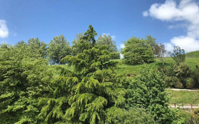 Woodlyn Park