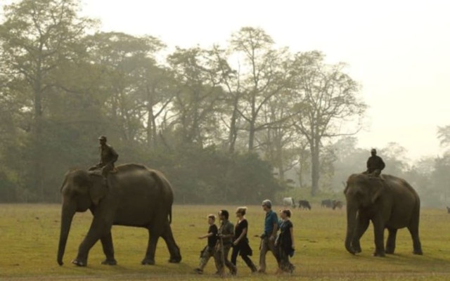 Tigertops Elephant Camp