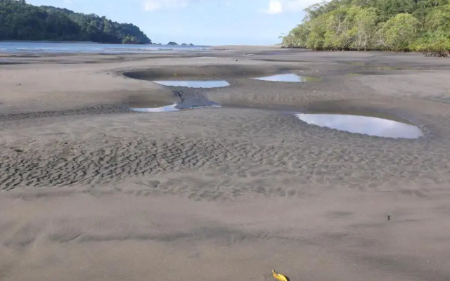 Hotel Veragua River House - фото 3