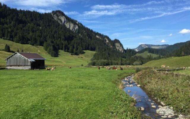 Boutique Apartments Bezau