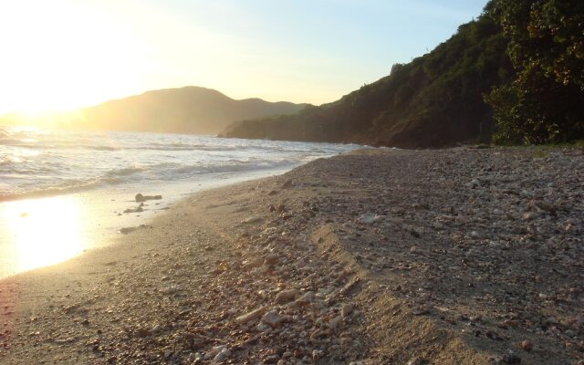 "the Carib House 5 Bedrooms And Pool Close To Beach"