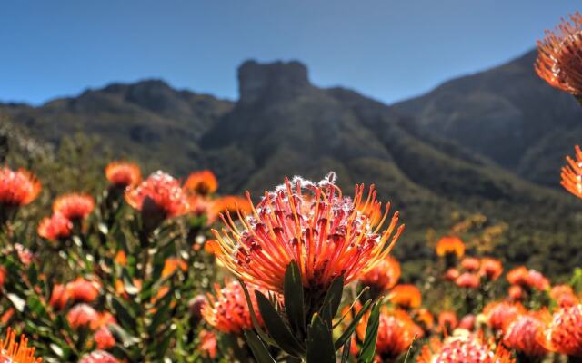 Hout Bay Beach Cottage