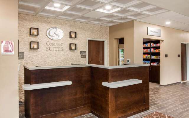 Comfort Suites - South Austin