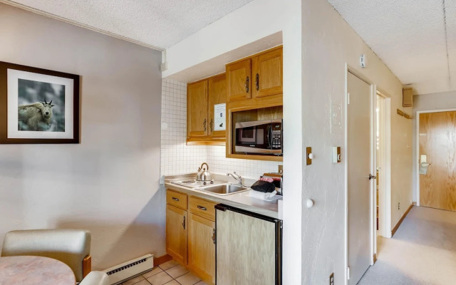 Lift House Lodge, Vail Lionshead Studio Condo, Walk to Gondola
