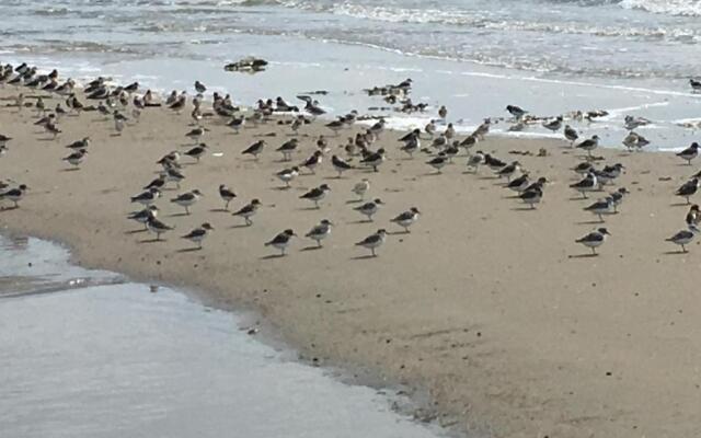 Wijnberg Appartementen