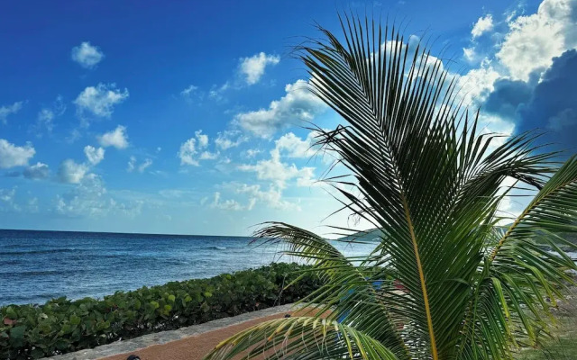 Grapetree Bay Hotel & Villas