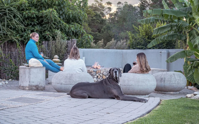 A Riverbed Guesthouse