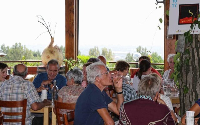 Sorrentino Vini Country House