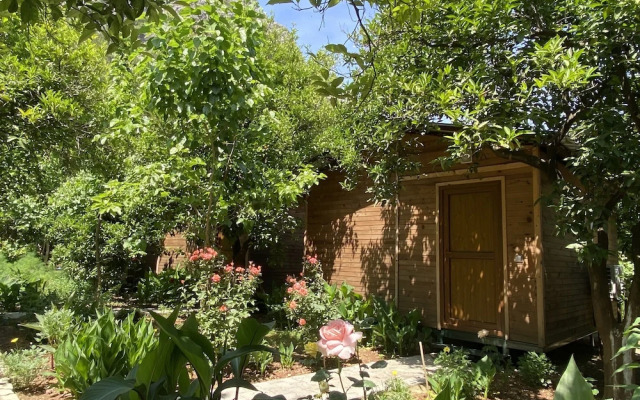 Olympos Mercan Bungalow