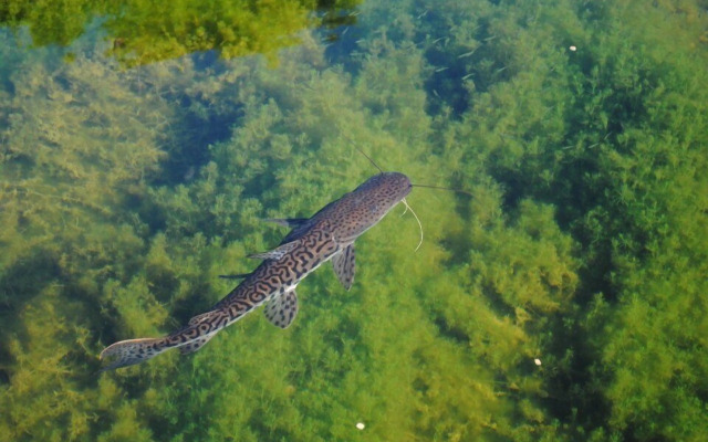 Pousada Recanto dos Pássaros