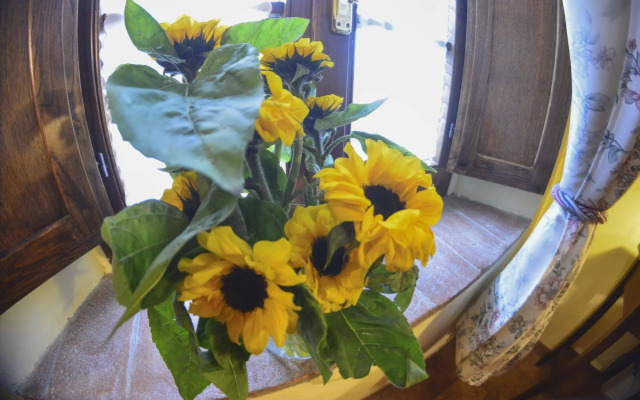 Casa di Campagna in Toscana