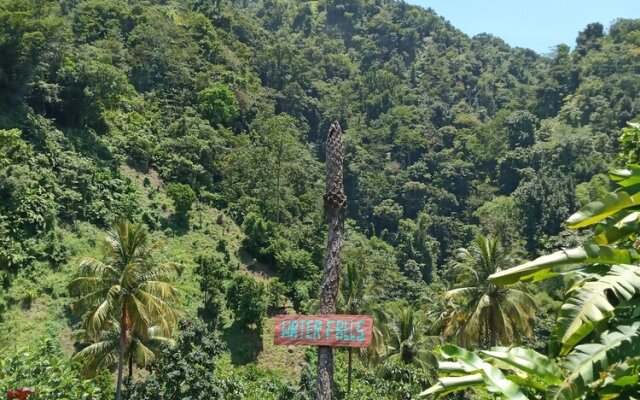 Berkey's Jungle Paradise
