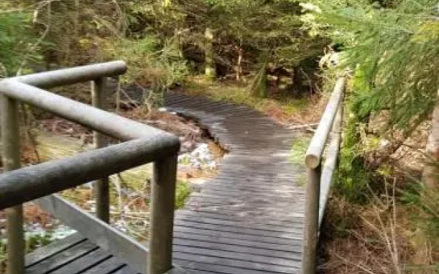 Ferienwohnung Vogelnest im Schwarzwald