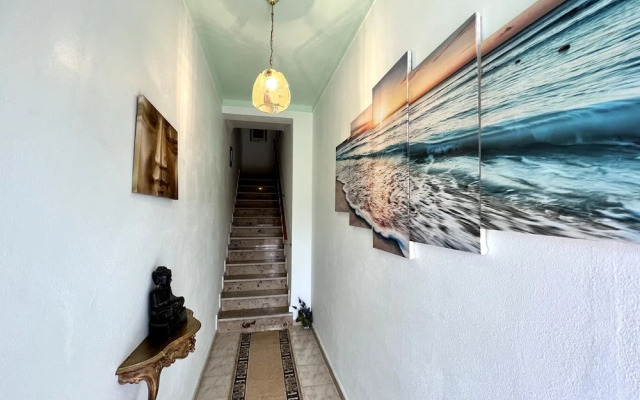 Silves Classic by Homing