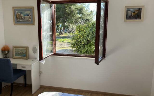 Beachfront Apartment Drazen, With Patio & Parking