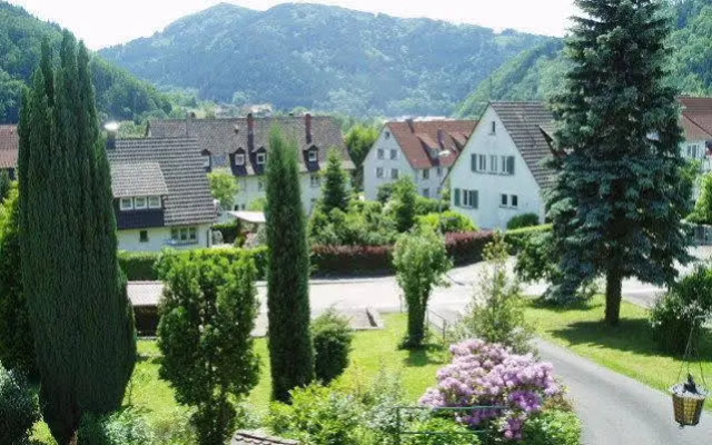 Schwarzwaldhotel Garni Wolfach