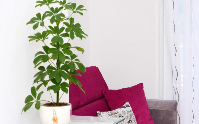 Luxury apartment Marionik