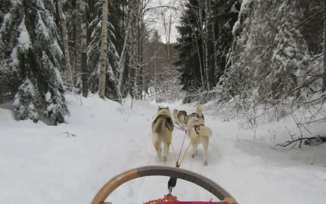 Knut's Camping och Lägenheter