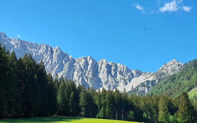 Secluded Apartment in Ferlach near Bodental Ski Lift