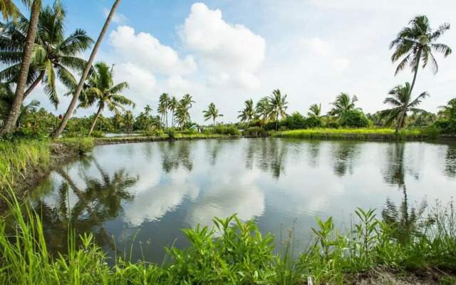 Kayal Island Retreat