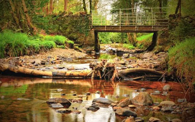 Woodlands Guest Accommodation