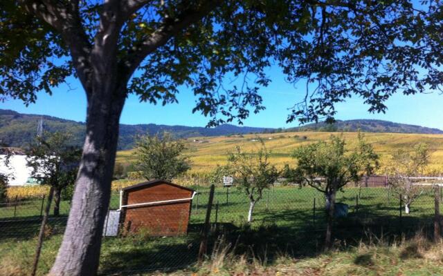 Apartment Cali Elina