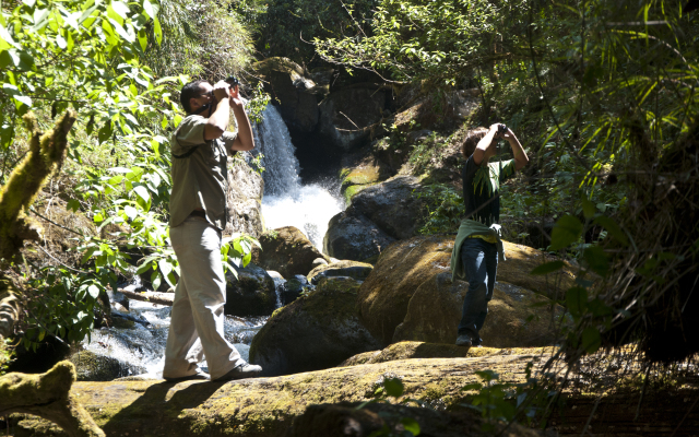 Dantica Cloud Forest Lodge