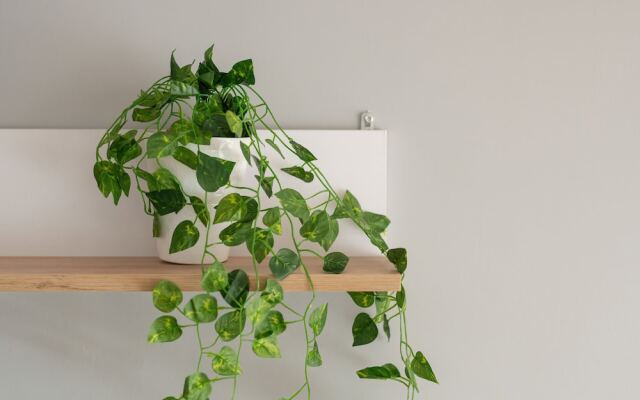 Wojskowa Apartment by Renters