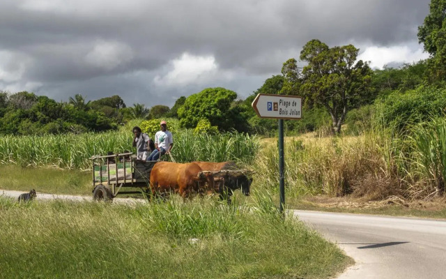 Super Studio en résidence face à la plage