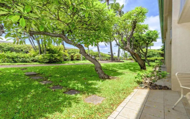 Napili Shores D127