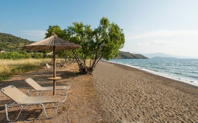 Delfinia Hotel & Bungalows