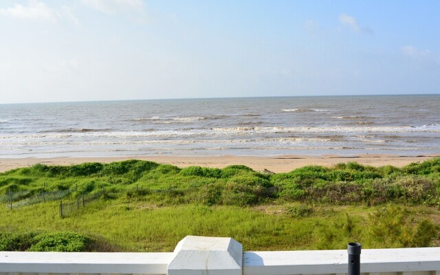 2 Miami by RedAwning