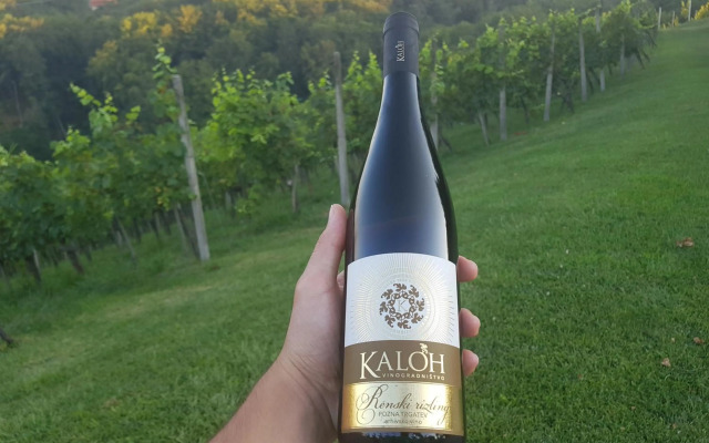 Turisticna Kmetija Kaloh