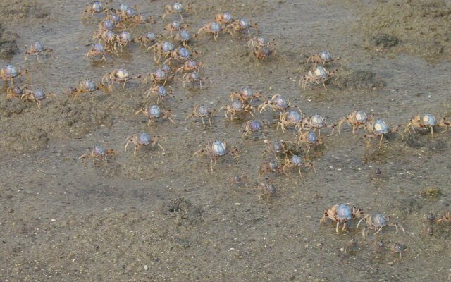 Anchors Aweigh Bed & Breakfast