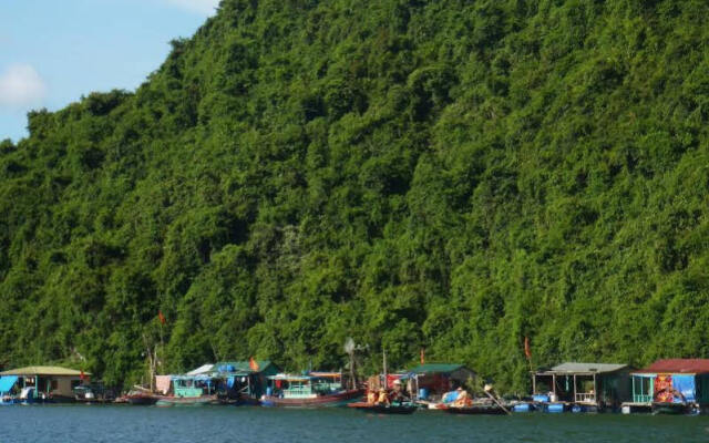 Heritage Line Violet Cruise - Ha Long Bay and Lan Ha Bay