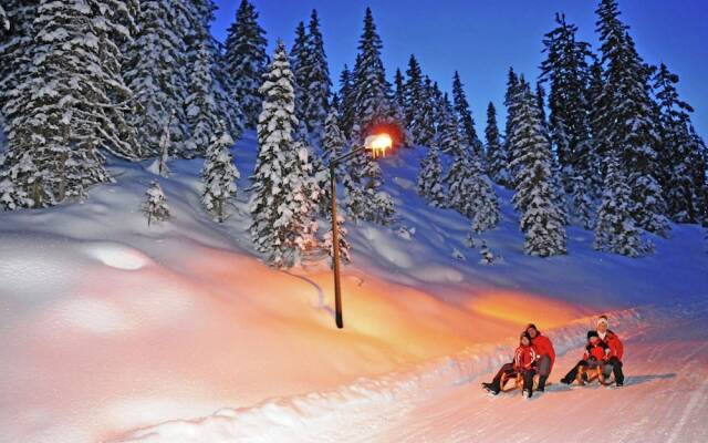 Cosy Apartment in Radstadt Near Ski Lift