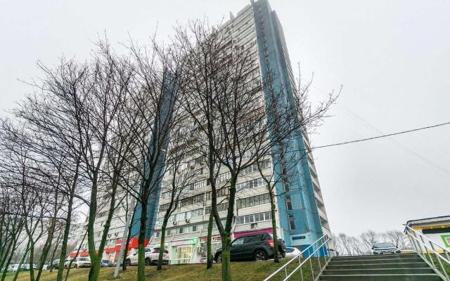 Apartments on Paustovsky street