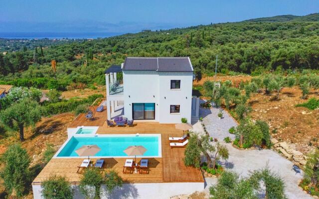 Olivista in Platonas