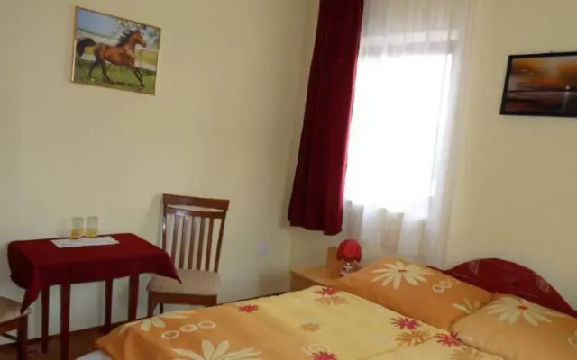 Sárga Csikó Falatozó és Vendégház-Maklár - фото 4