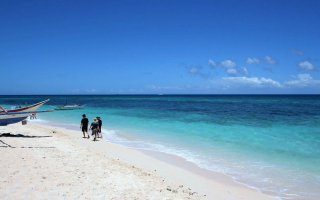 Green Monkey Resort