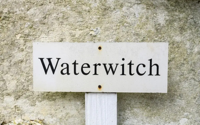 Waterwitch