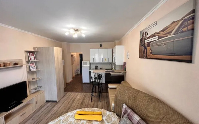 Апартаменты Вояж на улице 50 лет ВЛКСМ, д. 19