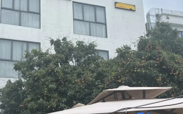 BAMBOO HOUSE Backpackers Inn – Exterior – Shenzhen