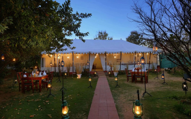 Abrar Palace & Jungle Camps