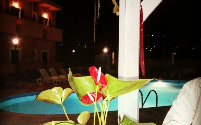Sofia's House