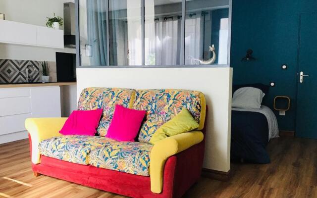 LE COSY LOIRE appart