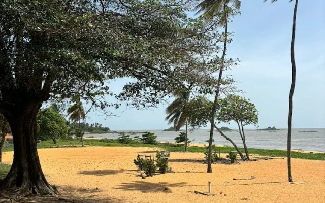 Trésor Caché d'Amazonie Oasis de Calme