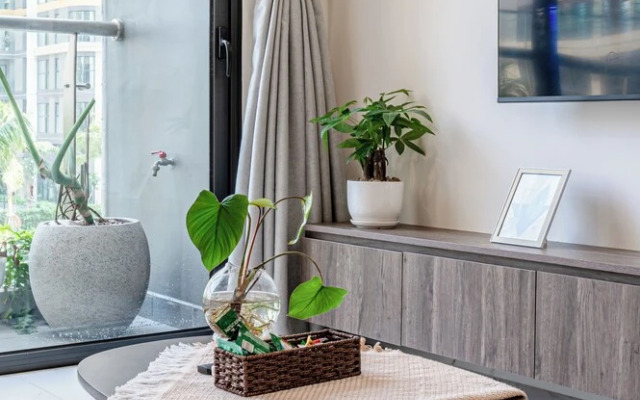LA Nest  - The Green Nest